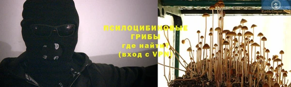 трава Зерноград