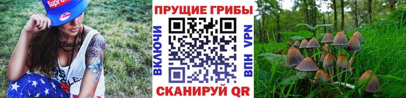 Галлюциногенные грибы Magic Shrooms  Купить где  Юрга 